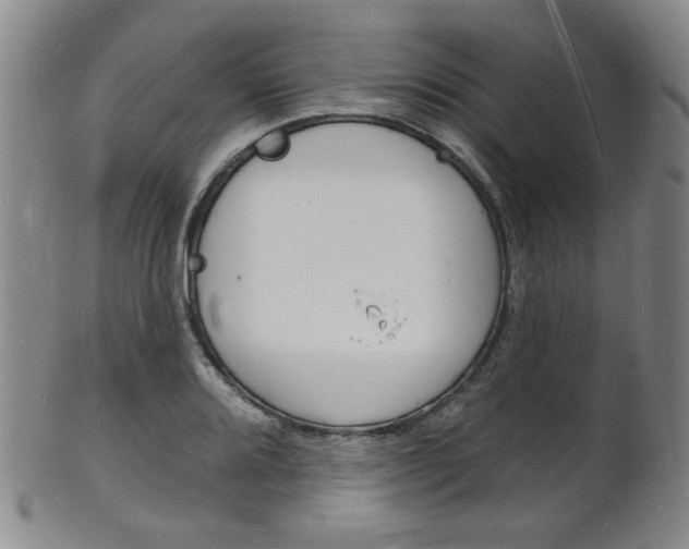 X0000101691080200807101202