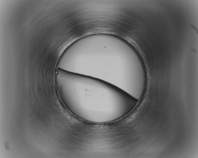 X0000101691081200807101202