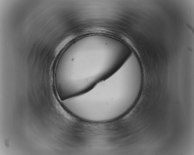 X0000101691082200807101202