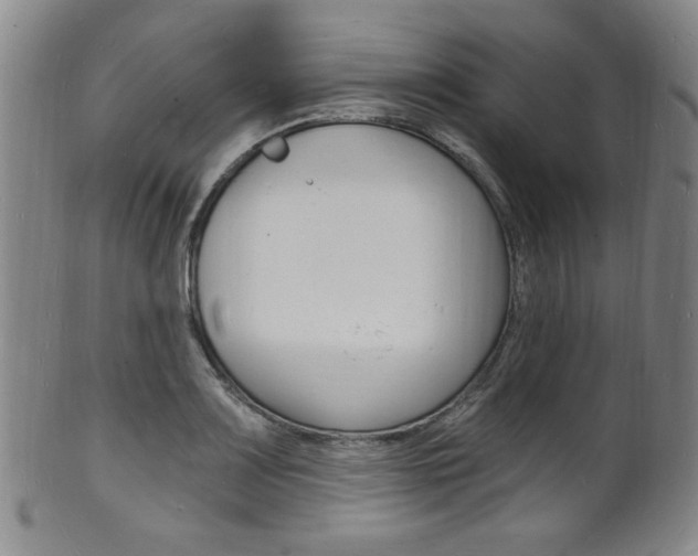 X0000101691083200807101202