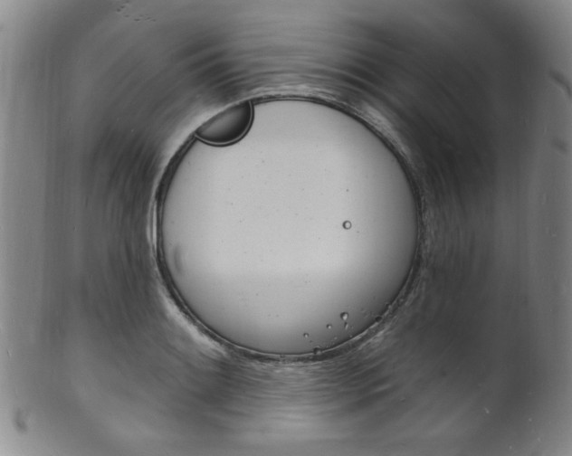 X0000101691084200807101202