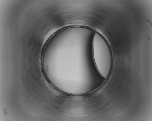 X0000101691085200807101202