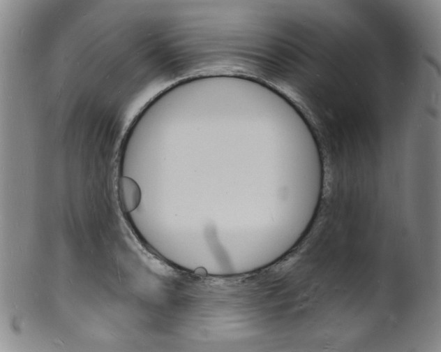 X0000101691086200807101202