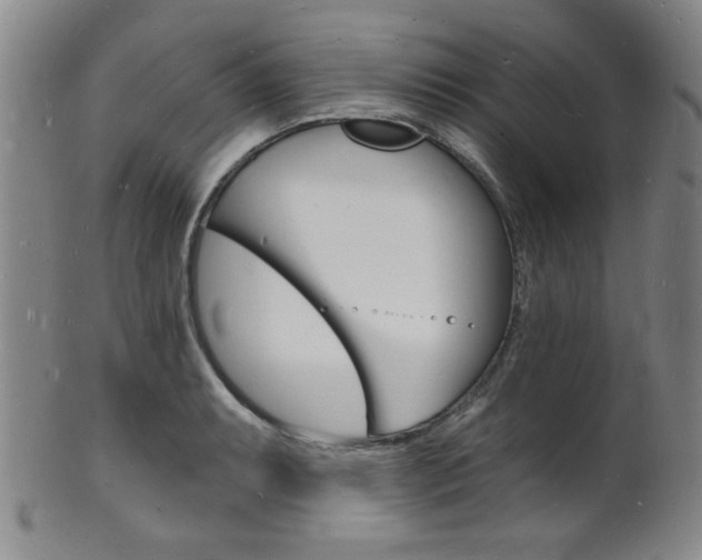 X0000101691087200807101202