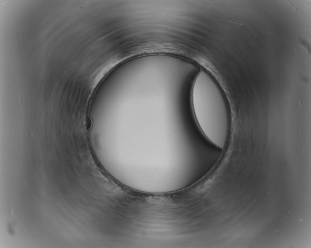 X0000101691089200807101202