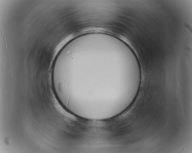 X0000101691090200807101202