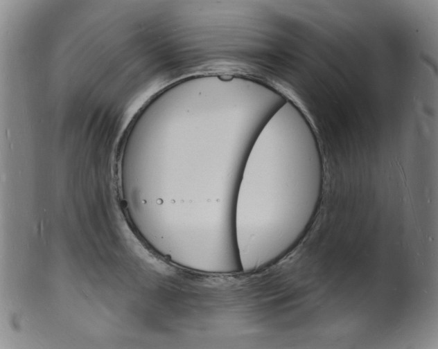 X0000101691091200807101202