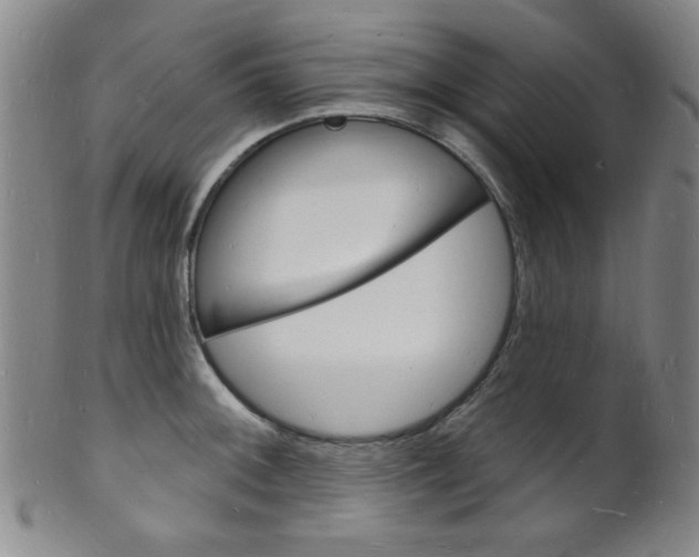 X0000101691092200807101202