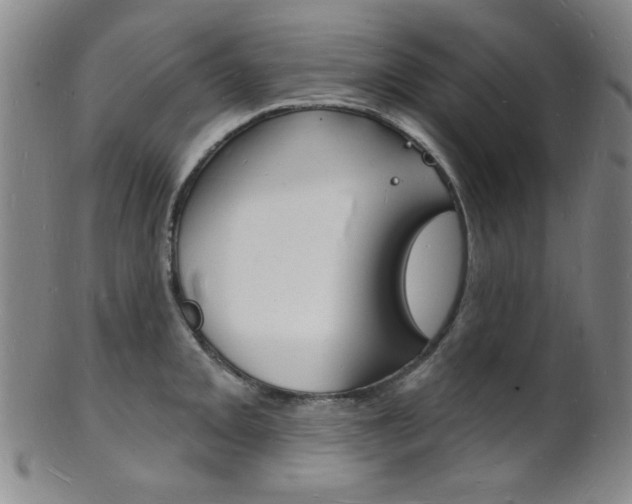 X0000101691093200807101202