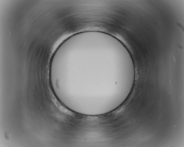 X0000101691094200807101202