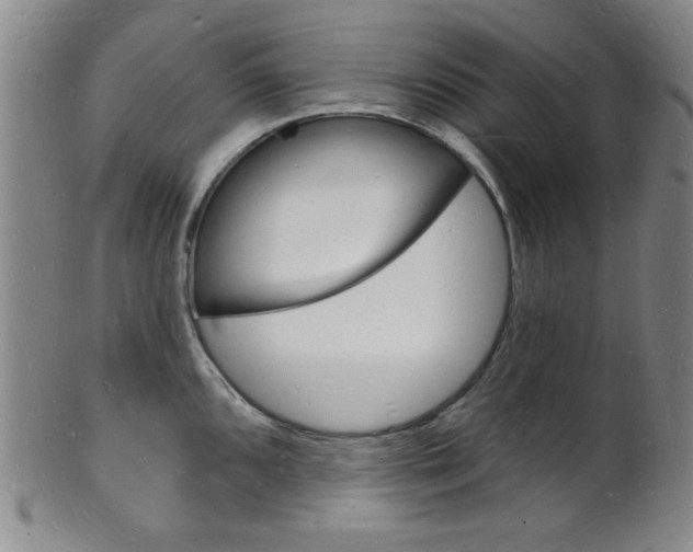 X0000101691096200807101202