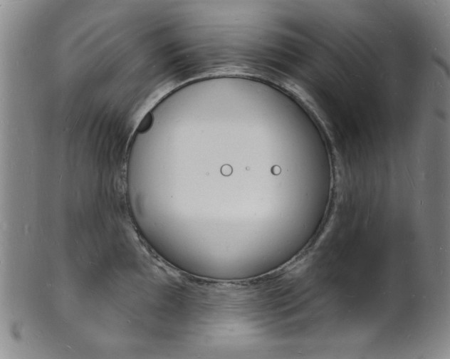 X0000101691097200807101202