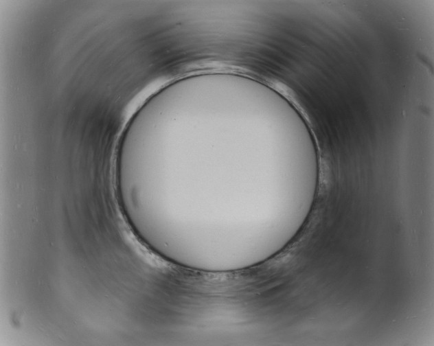 X0000101691098200807101202