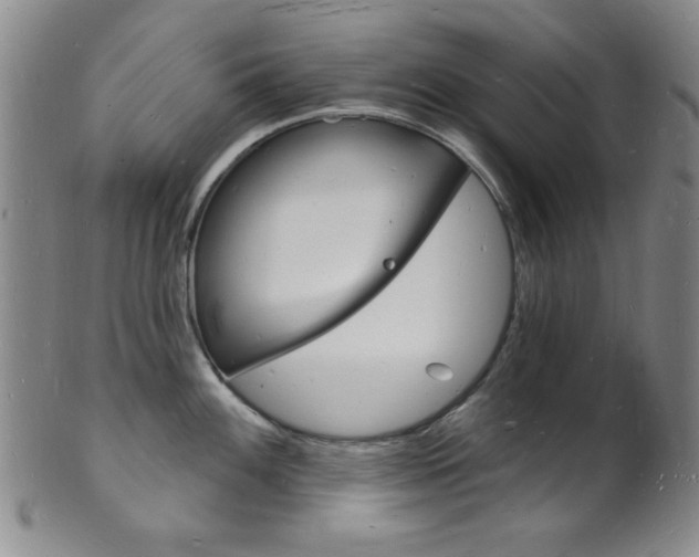 X0000101691100200807101202