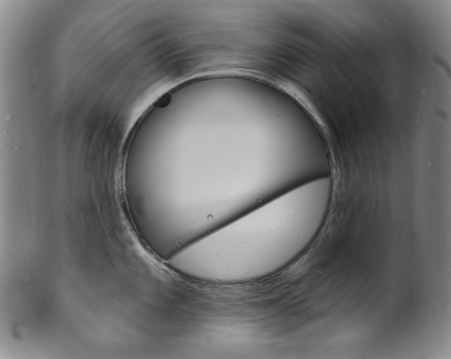 X0000101691101200807101202