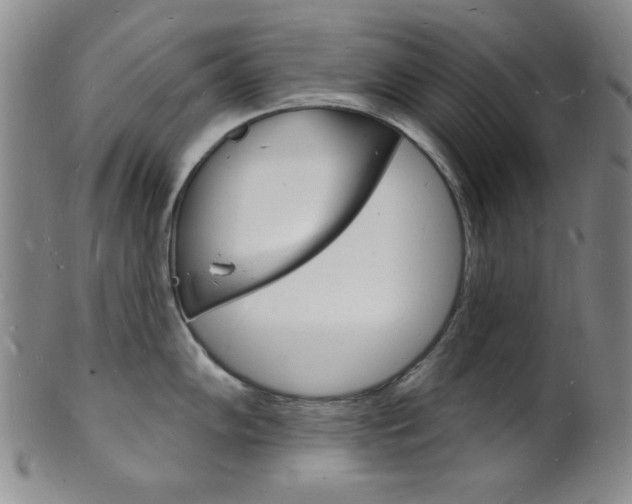X0000101691102200807101202