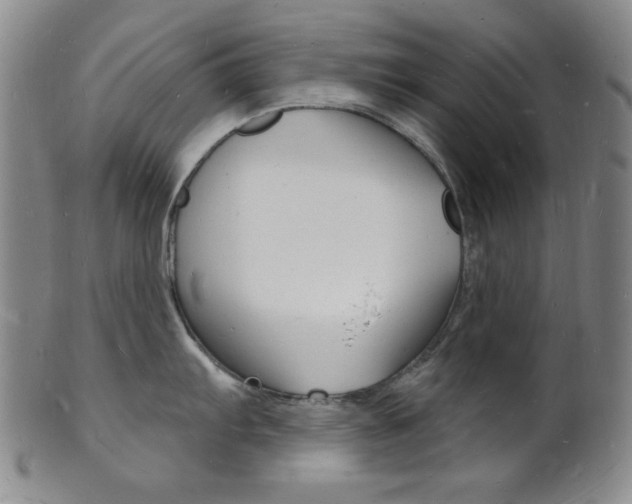 X0000101691103200807101202
