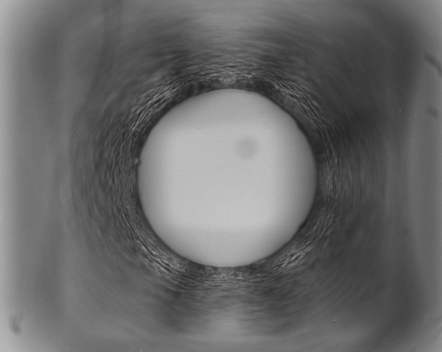 X0000101691105200807101201