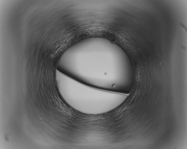 X0000101691108200807101201
