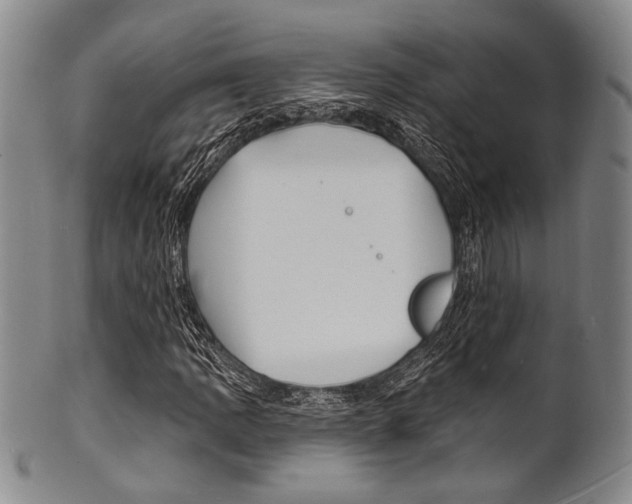 X0000101691109200807101201