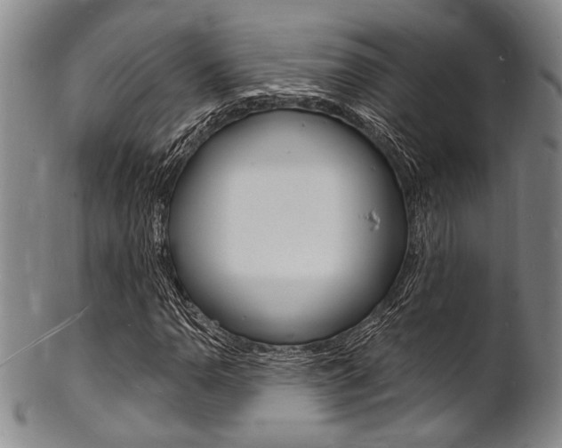 X0000101691110200807101201