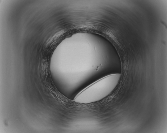 X0000101691111200807101201