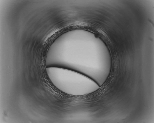 X0000101691112200807101201