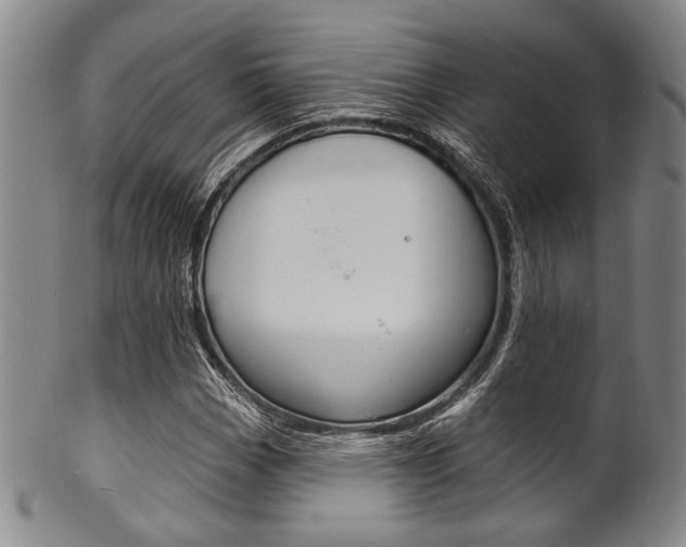 X0000101691113200807101201