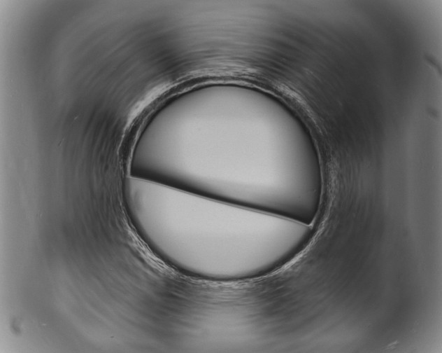X0000101691114200807101201