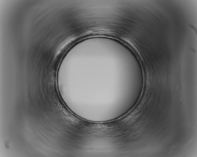 X0000101691115200807101201