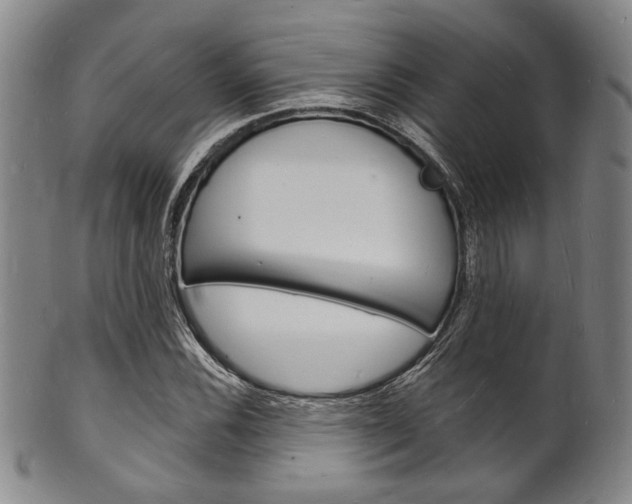 X0000101691116200807101201