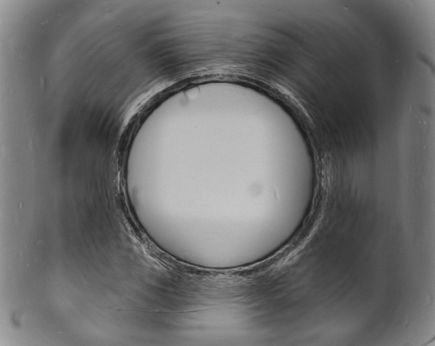 X0000101691117200807101201