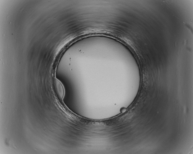 X0000101691119200807101201