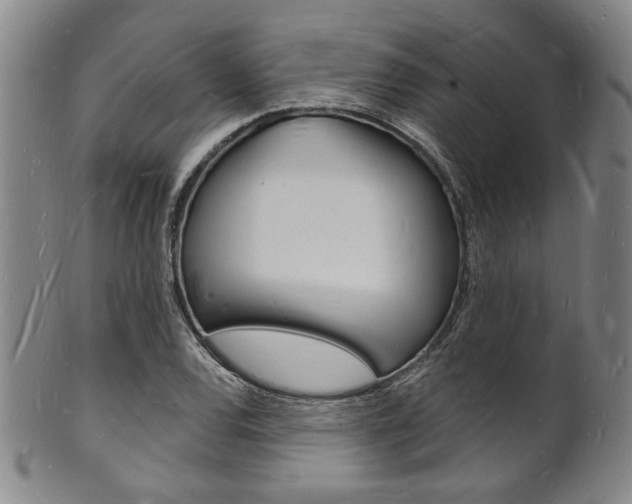 X0000101691120200807101201