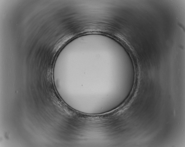 X0000101691121200807101201
