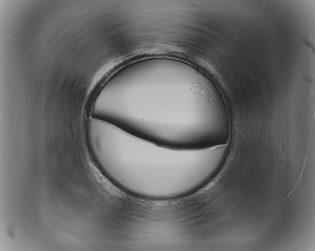 X0000101691122200807101201