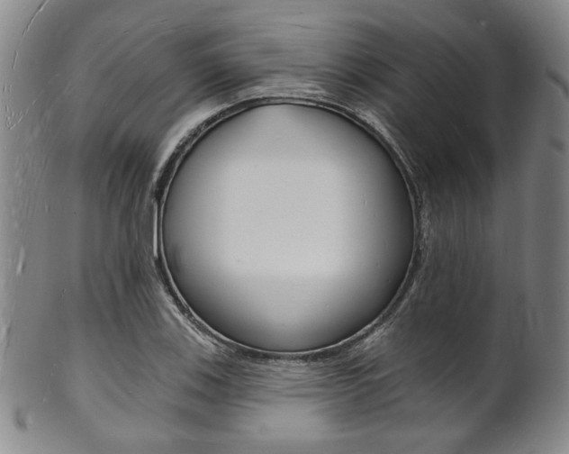 X0000101691123200807101201