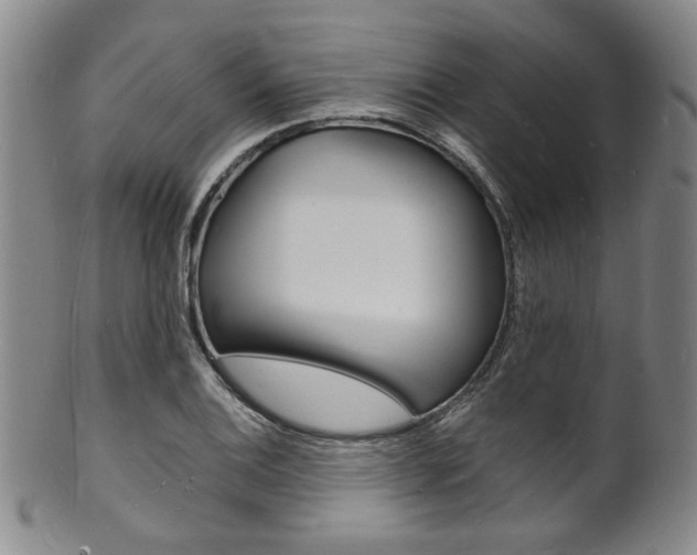 X0000101691124200807101201