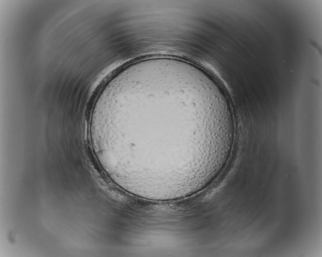 X0000101691125200807101201