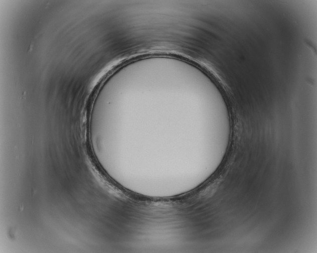 X0000101691126200807101201