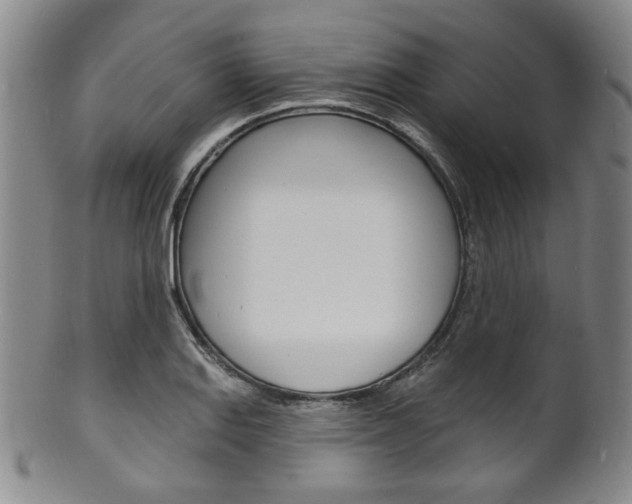 X0000101691127200807101201