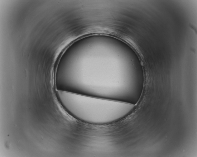 X0000101691128200807101201