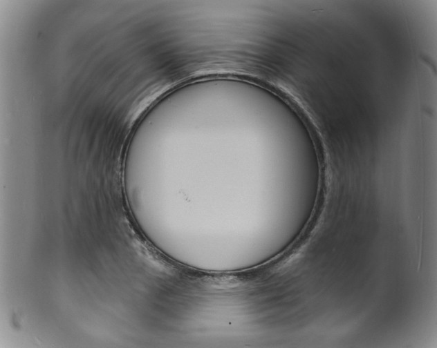 X0000101691129200807101201