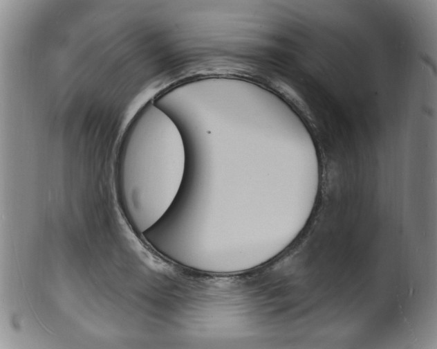 X0000101691130200807101201