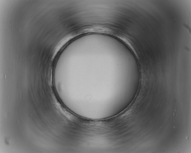X0000101691131200807101201
