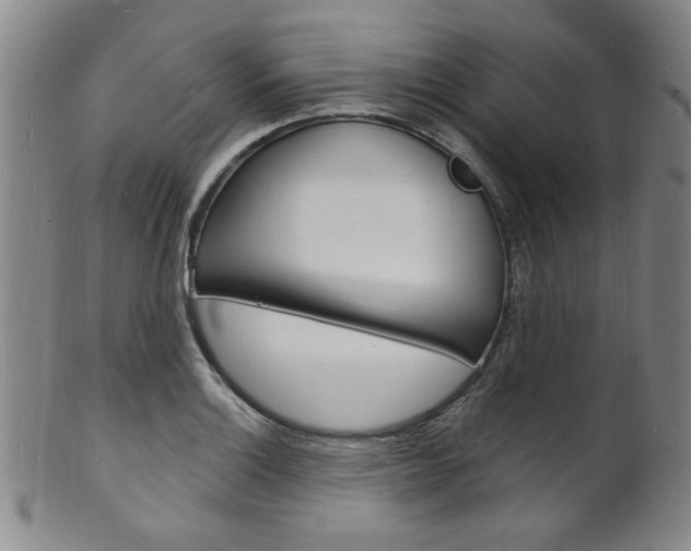 X0000101691132200807101201