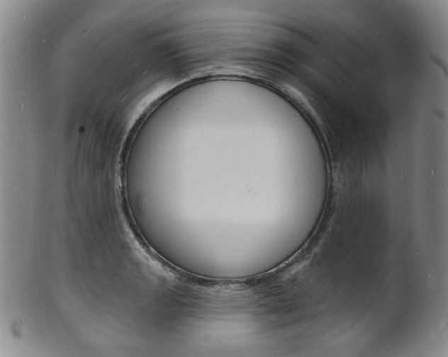 X0000101691133200807101201
