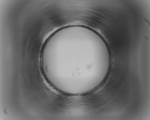 X0000101691134200807101201