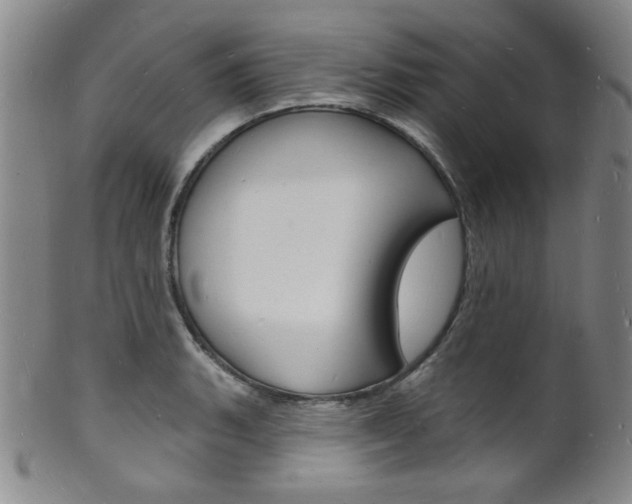 X0000101691135200807101201