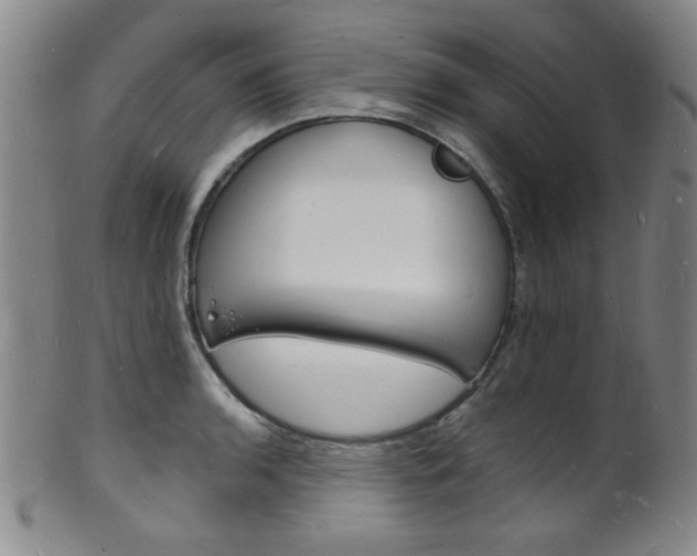 X0000101691136200807101201